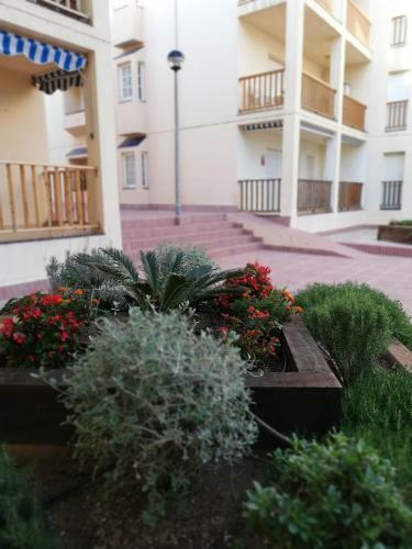 Apartamento Fantastic Comarruga