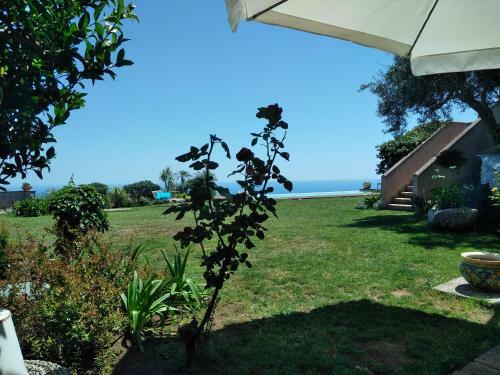 Bed & Breakfast La Casa Del Panorama
