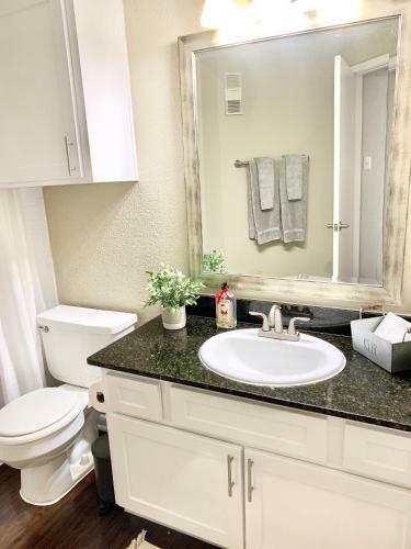 Houston Medical Center Apartments 2br & 2ba