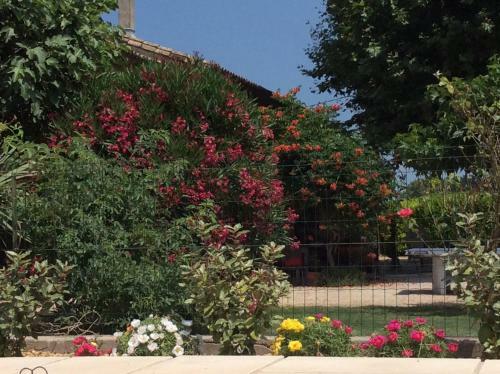 Bed & Breakfast La Bergerie De Castellan