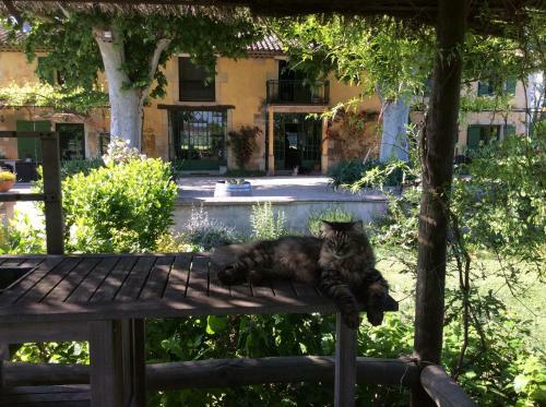 Bed & Breakfast La Bergerie De Castellan