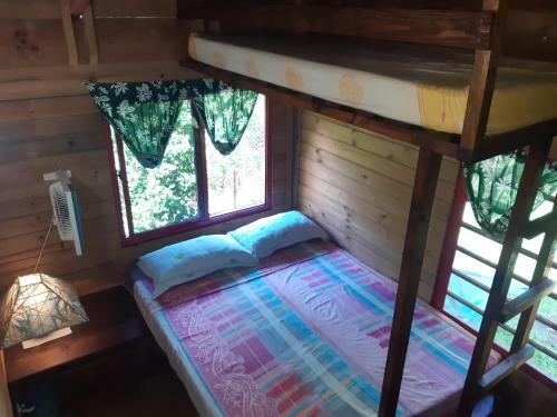 Bed & Breakfast B & Bee Wild Island