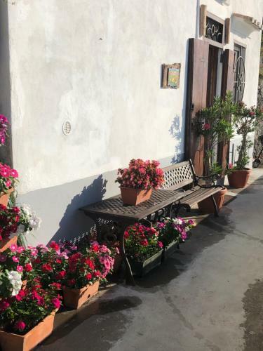 Hostal L'antica Casa-a Beautiful View.