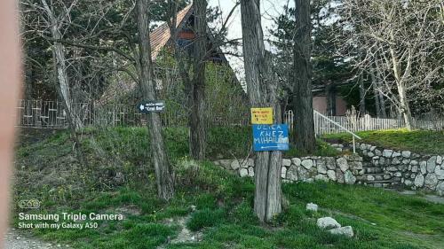 Apartamento Ku?a Za Odmor "crni Bor"