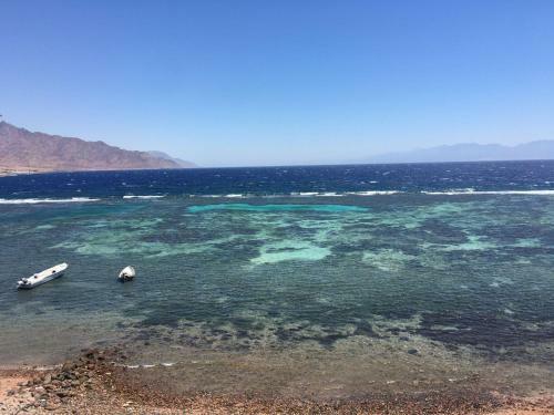 Hostal Iaru Nub - ????? ???