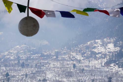 Bed & Breakfast Himalayan View (rooms And Rooftop Cafe)