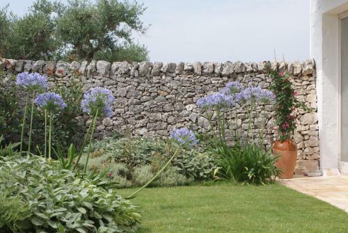 Agroturismo Il Granello Di Senape In Valle D'itria