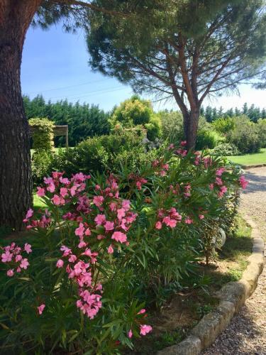 Villa Il Fienile