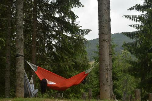 Lodge Cabana M?lina V�rtop