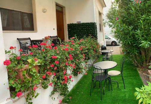 B&B Falcone