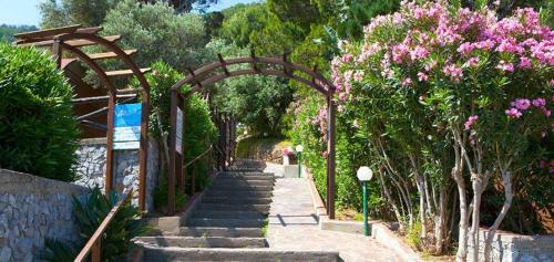 Voglia Di Vacanze