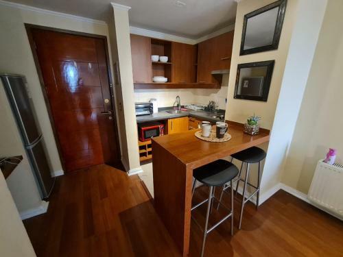 Apartamento Departamento Amoblado En Concepci�n