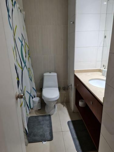 Apartamento Departamento Amoblado En Concepci�n
