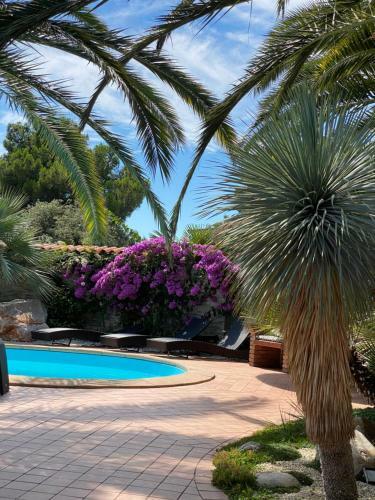 Apartmaji Villa Beauty