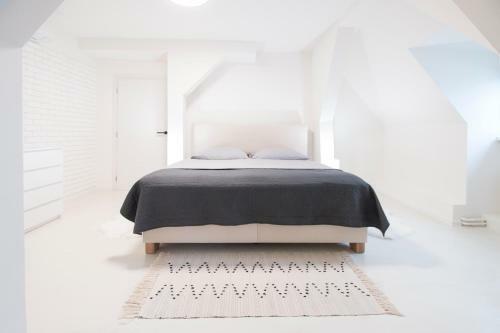 Apartm�n M�cha U Zlat� Hv?zdy
