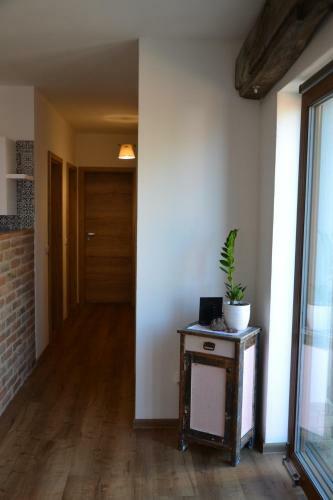 Apartamento Penzion Mikuleck� Kutloch