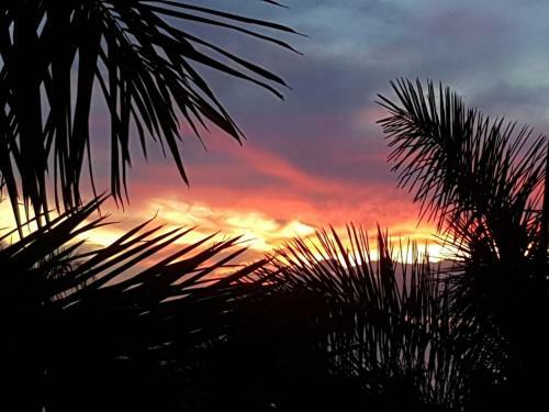 Apartamento Playa Bonita