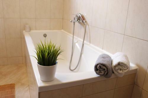 Holiday Home Maslina