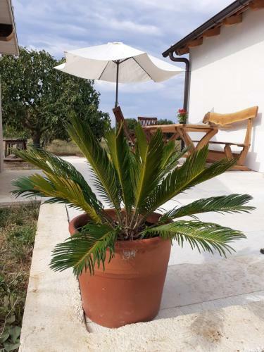 Apartamento Sweet Home Rovinj