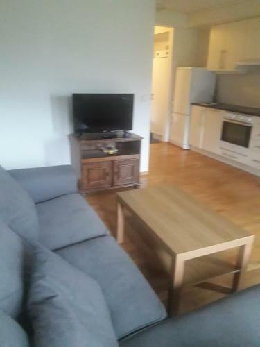 Apartement R�ldal Alpingrend