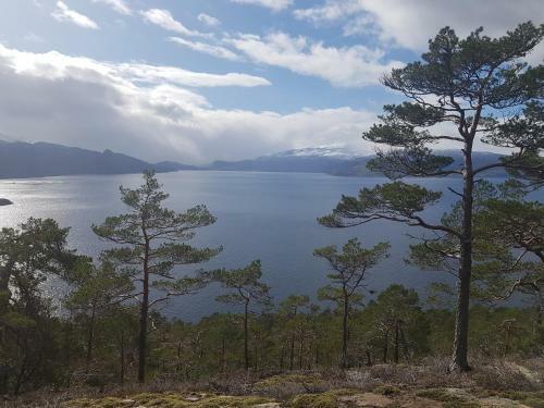 Apartamento Treehut, Nature, Birds, Silence And Fjord