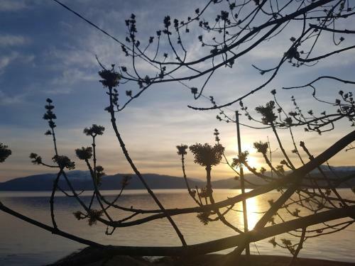 Apartamento Treehut, Nature, Birds, Silence And Fjord