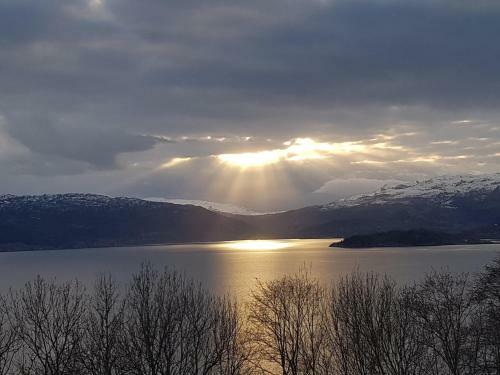 Apartamento Treehut, Nature, Birds, Silence And Fjord