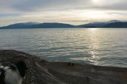 Apartamento Treehut, Nature, Birds, Silence And Fjord