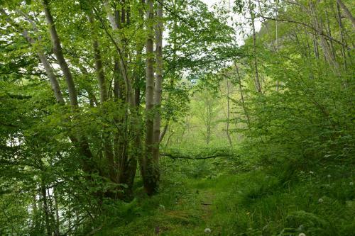 Apartamento Treehut, Nature, Birds, Silence And Fjord
