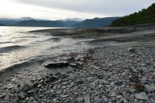 Apartamento Treehut, Nature, Birds, Silence And Fjord