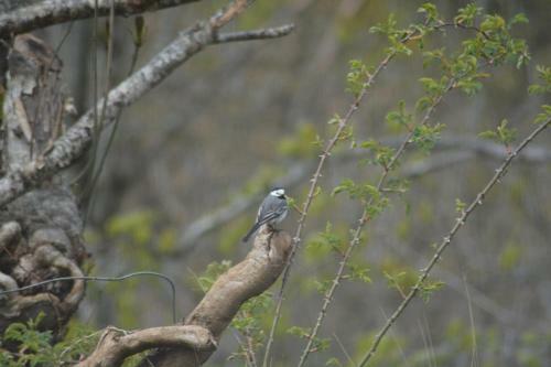 Apartamento Treehut, Nature, Birds, Silence And Fjord