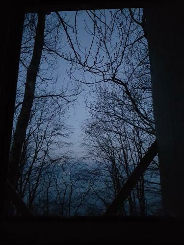 Apartamento Treehut, Nature, Birds, Silence And Fjord