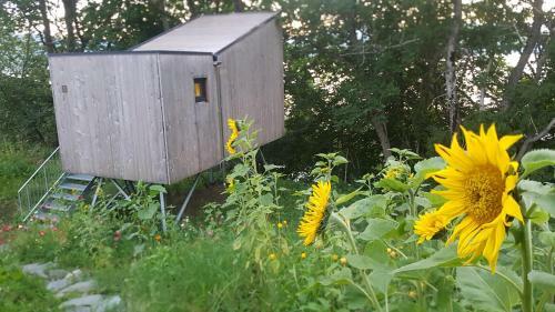 Apartamento Treehut, Nature, Birds, Silence And Fjord