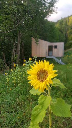 Apartamento Treehut, Nature, Birds, Silence And Fjord