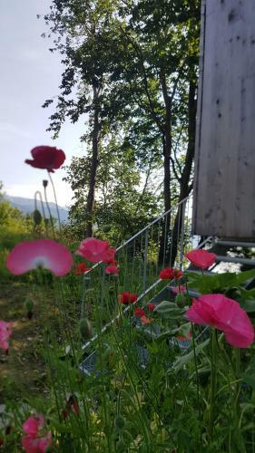 Apartamento Treehut, Nature, Birds, Silence And Fjord