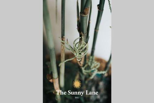 Villa The Sunny Lane Canggu