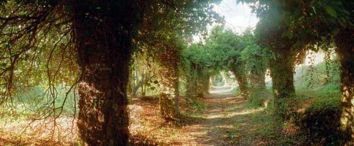 Bed & Breakfast Il Convento Di Casola