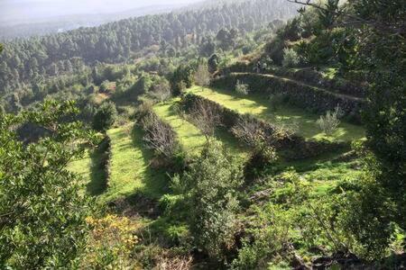Villa Rural Faldas Del Teide