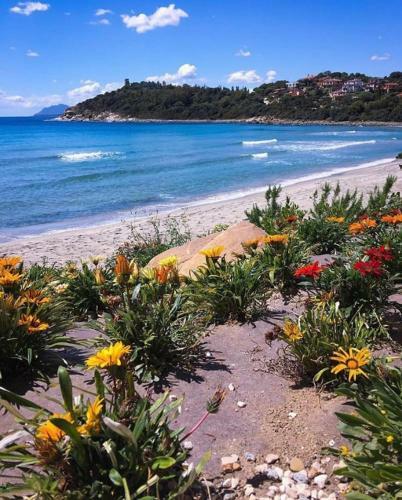 Villamar Fronte Mare Porto Frailis