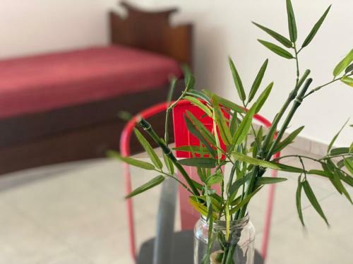 Apartamento Alquilo Hermoso Departamento Cerca De Chacras
