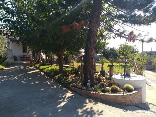 Villa Rosa