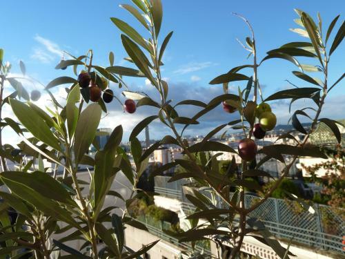 Hostal Jolie Chambre � Louer - Vue Imprenable