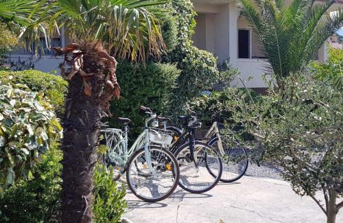 Apartamento Mande 1