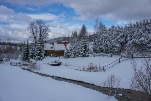 Lodge Domki Uroczysko
