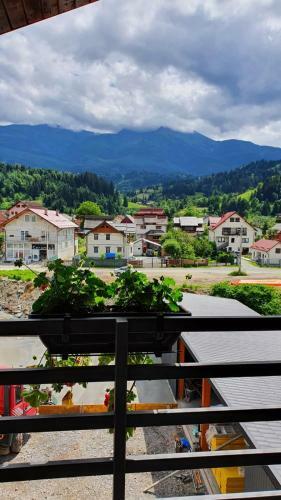 Bed & Breakfast Autovilas