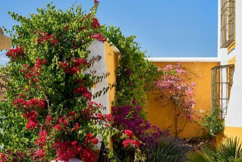 Agroturismo Cortijo De Las Piletas