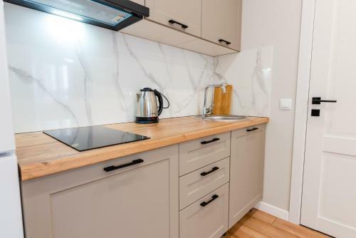 Comfortable Apartmen 2