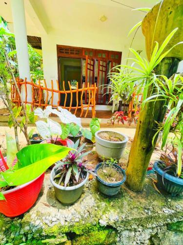 Bed & Breakfast Dreamy Stay Ella