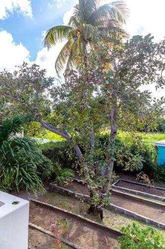 Attractive 4 Br House, 3 Min Walk To Reduit Beach