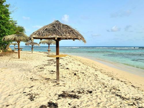 Apartamento Charmant Studio Avec Piscine Et Plage - Anse Des Rochers